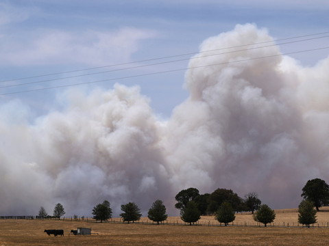 Australie: état de catastrophe dans le sud-est à cause des feux