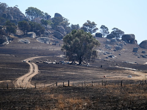 Un mort dans les feux de brousse du sud-est de l'Australie