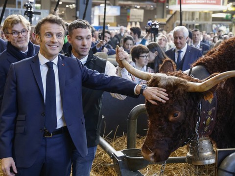 Pour la première fois, aucun bovin au Salon de l'agriculture