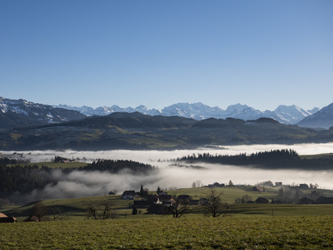 L'état de la biodiversité en Suisse demeure bas et insatisfaisant