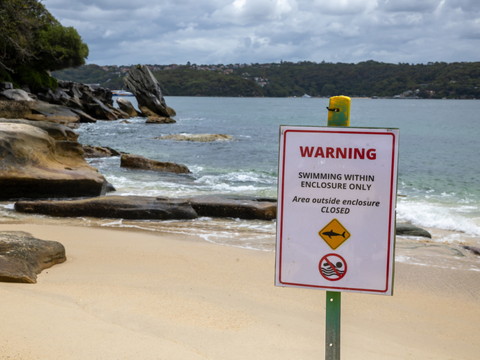 Australie: un enfant meurt des suites d'une attaque de requin