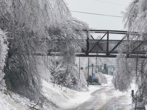 Froid polaire aux Etats-Unis: trente morts dans les intempéries
