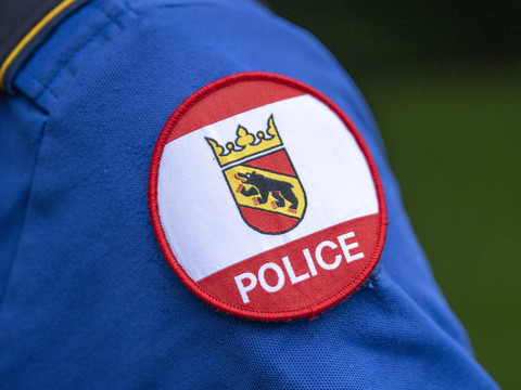 Deux chevaux tués à Lotzwil dans un accident avec une voiture