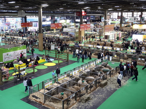 Chute de la fréquentation pour le Salon de l'agriculture