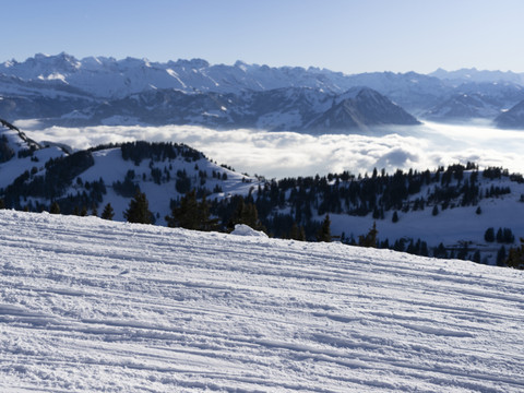L'hiver fut chaud et sec, avec une vague de froid début janvier