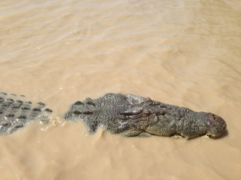 Inondations dans le nord de l'Australie: 