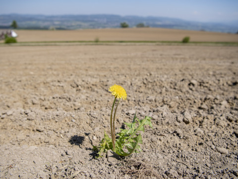 Les Suisses refusent à 71% l'initiative pour un fonds climat