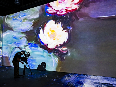 A Lausanne, les Nymphéas de Monet de la tête aux pieds à Beaulieu