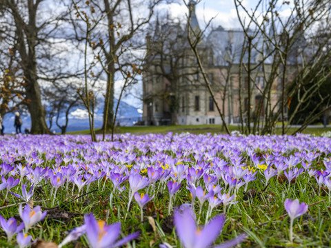 Le printemps commence toujours plus tôt