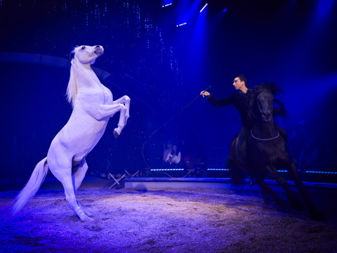 Sons et lumières innovants pour la tournée 2026 du Cirque Knie