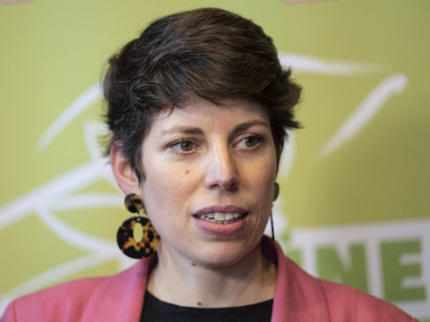 Les Vert-e-s renoncent au référendum contre le plan d'économies