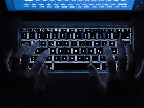 Europol et Fedpol démantèlent un réseau frauduleux du darknet