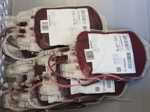Record de dons de cellules souches du sang en 2025