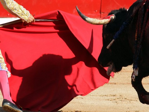 Un ancien matador mortellement encorné avant une corrida