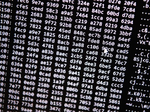 Le marché des cyberassurances est en pleine croissance