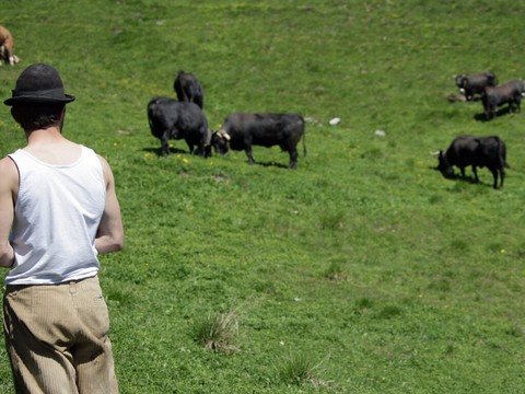 Le secteur de l'alpage déplore un manque de personnel expérimenté