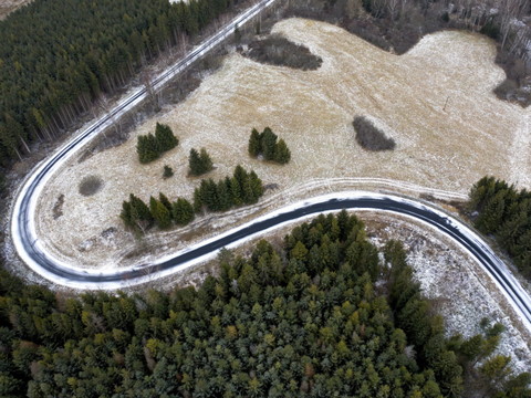 Une femme de 58 ans tuée par un ours en Pologne