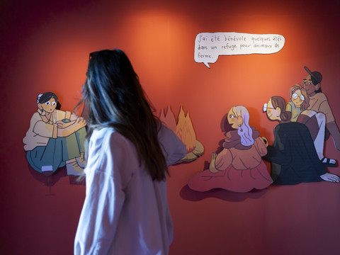Pour ses 20 ans, BDFIL expose Mirion Malle et la BD québécoise