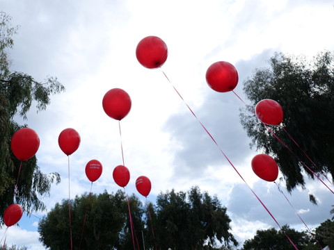 Neuchâtel veut interdire le lâcher de ballons
