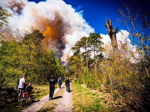Pays-Bas: Un incendie ravage un terrain d'entraînement militaire