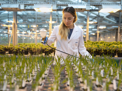 Syngenta progresse au premier partiel grâce à l'innovation