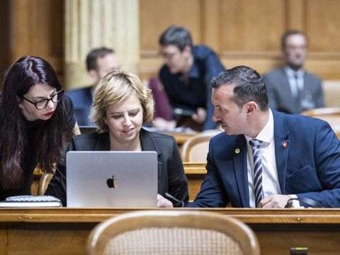 L'initiative pour la démocratie ne convainc pas le National