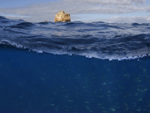 Océans près des records de chaleur avant même le retour d'El Niño