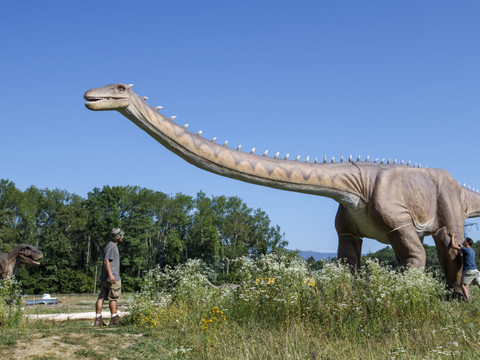 Un nouveau dinosaure géant identifié en Thaïlande: le nagatitan