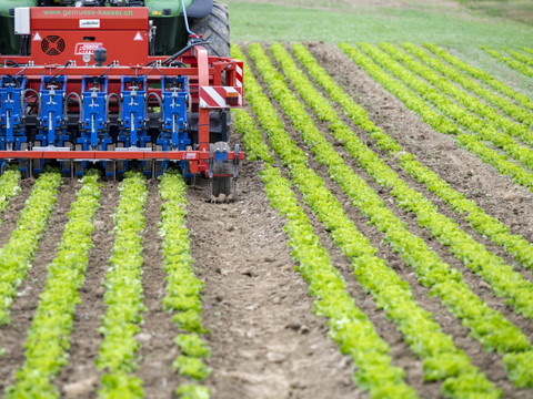 Aide fédérale à l'agriculture, impactée par les accords commerciaux