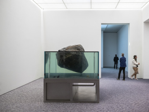 L'univers éphémère de Pierre Huyghe à la Fondation Beyeler