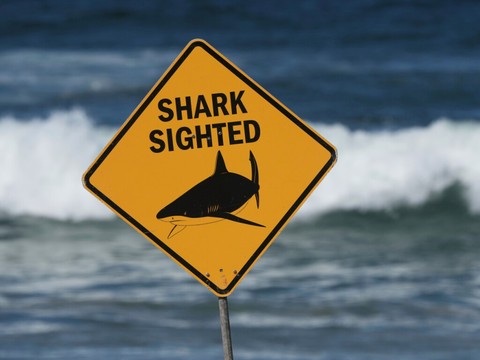 Un homme meurt après une attaque de requin dans le Queensland (AUS)