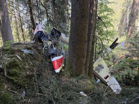 Le pilote d'un planeur meurt dans un crash à Reichenburg (SZ)