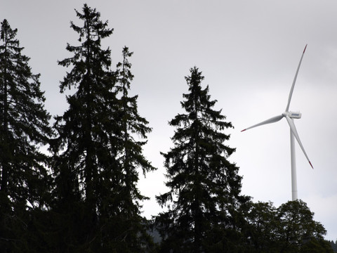 Les associations environnementales contre le blocage de l'éolien