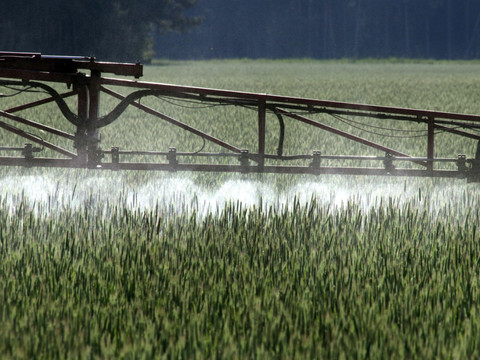 Une autorisation facilitée des pesticides validée par le Parlement