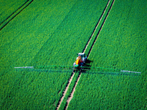 Le Parlement valide une autorisation facilitée des pesticides