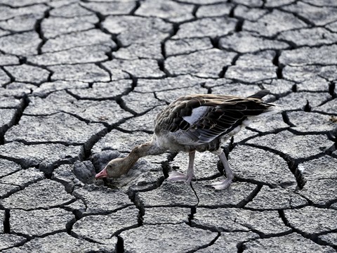 Climat: les conditions extrêmes deviennent 