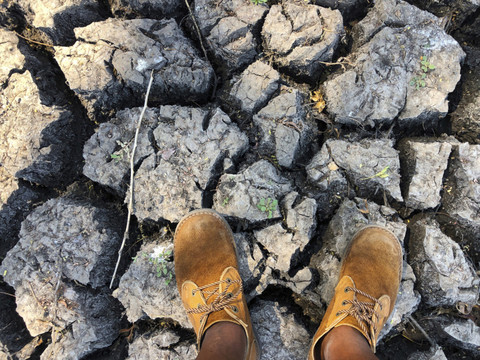 El Niño de retour dans le Pacifique, risques météo extrêmes à venir