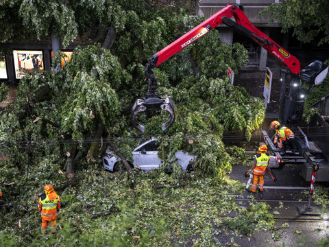 Violents orages: des blessés suite à la chute d'arbres à Zurich