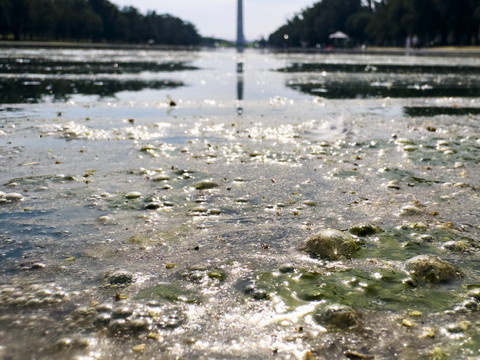 Washington: Trump menace quiconque endommagerait le bassin rénové