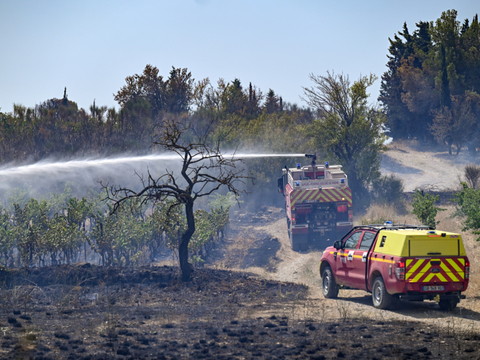 France: près de 100 hectares brûlés dans le Maine-et-Loire