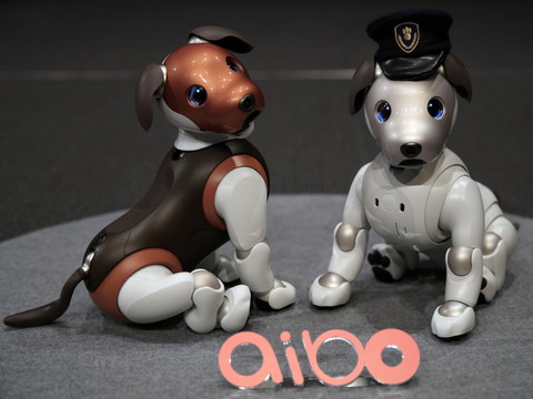 Sony arrête la vente de son chien robot 
