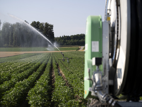 Les agriculteurs face au défi de la canicule