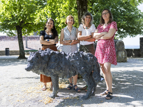 Loup dans l'Arc jurassien: les Verts veulent protéger les troupeaux