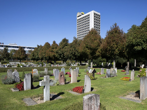 La Ville de Berne autorise l'inhumation avec son animal domestique