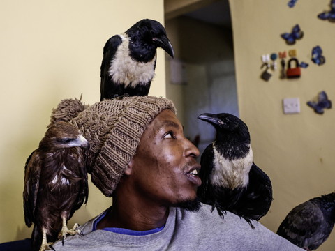 L'homme-oiseau de Nairobi fait le buzz, mais inquiète des médecins