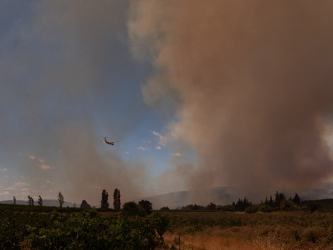 La canicule s'étend en France, 7800 hectares brûlés en huit jours