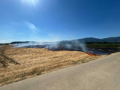 Champ de chaume en feu à Deitingen (SO): 200 ares en fumée