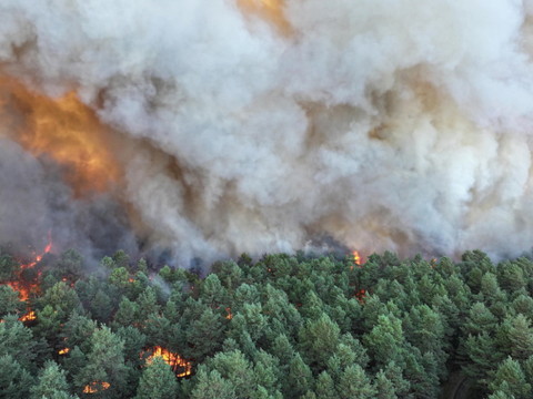 Incendie hors norme dans une forêt près de Paris