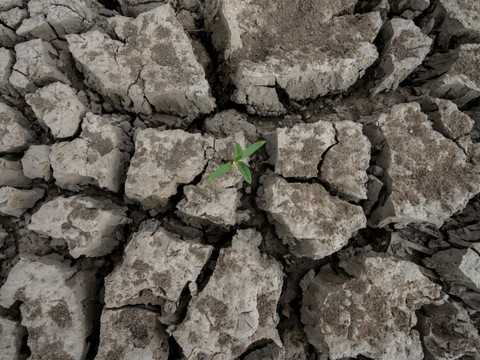 Le changement climatique, un facteur aggravant des sécheresses