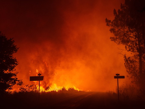 France: plus de 15'000 hectares partis en fumée